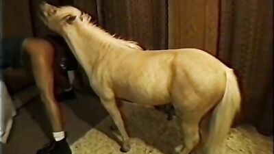 Porn bestiality: gay zoo porn fisting