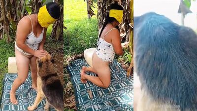 Bestiali comics: sex vs animals