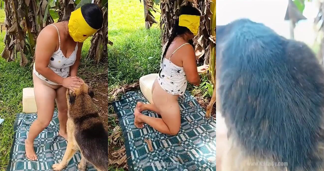 Bestiali comics: sex vs animals