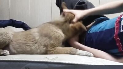 Art of zoo porno: dog porn manga