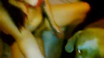 Zoo porn video: zoophilia forum
