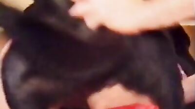Dog sex porn: amateur dog porn best