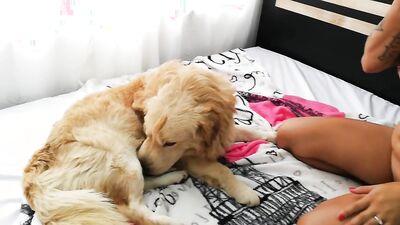 Dog girl: anime zoo porn hentai