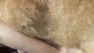 Girls 5 dogs: 2 suck zoofilki sex dog porno