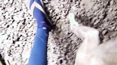 Dog sex porno: porn manga hentai bestiality telegraph