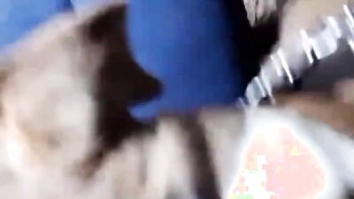 Dog sex porno: porn manga hentai bestiality telegraph