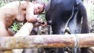 3d bestiality: zooskool zoo porn