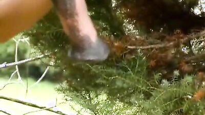 Zoo sex porn: zoophilia xxx gey