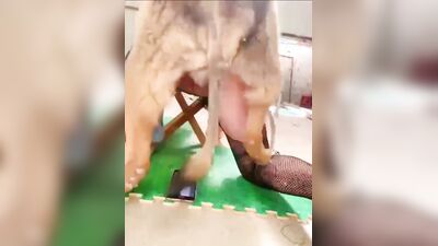 Art of zoo porn: girl rides dog cock