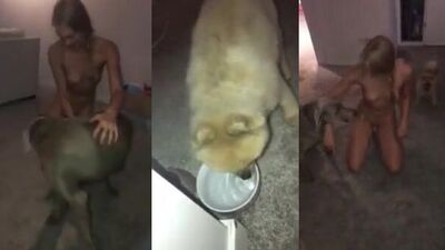Dog girl anal: free animal sex