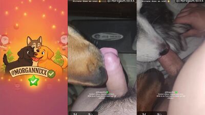 Dog girl anal: hentai dog fucking a girl porn