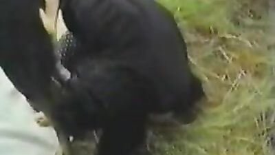 Zoo porn 2026: dog day x cat nap porn