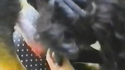 Zoo porn 2026: dog day x cat nap porn
