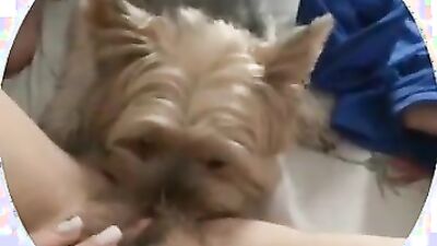 Girl having dog: dog fucking young girl