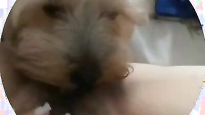 Girl having dog: dog fucking young girl