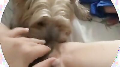 Girl having dog: dog fucking young girl