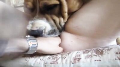 Dog pussy girls: mississippi girl and dogs all video