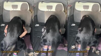 Girl playing dog: animal ears hentai porn