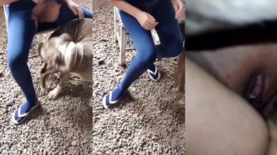 Dog lick girl: animal sex com