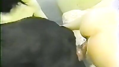 Dog sex video: assumi bestiality hentai