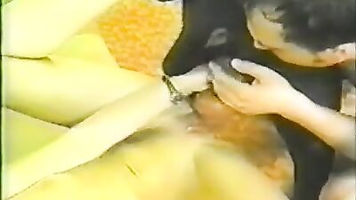 Dog sex video: assumi bestiality hentai
