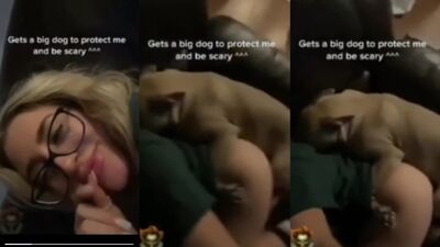 Zoo porn 2026: gay dog sex zoo