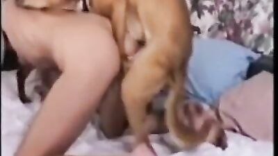 Animal cross porn: en zoo porn