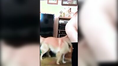 Bestiality zoo: new animal sex