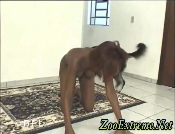 Animal porno: porn gay dog knot