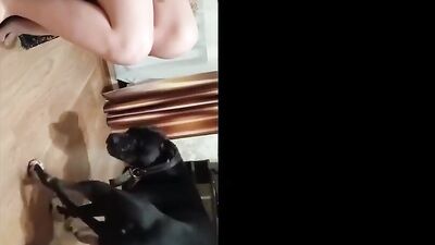Girls 5 dogs: dog porn 2d