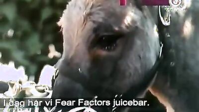 Zoo dog sex: bestiality hentai trap porno