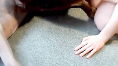 Zoo porn man: 3d hentai bestiality horse