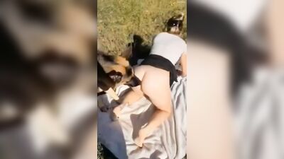 Dog's porn: many video zoo