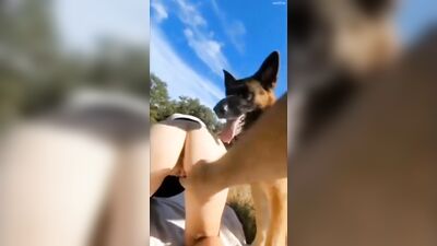 Dog's porn: many video zoo
