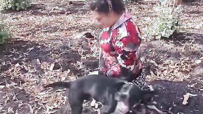Dog fuck porn: animal anal sex porno