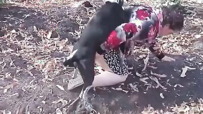 Dog fuck porn: animal anal sex porno