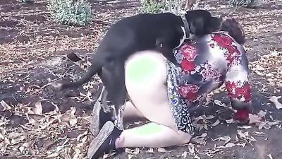 Dog fuck porn: animal anal sex porno