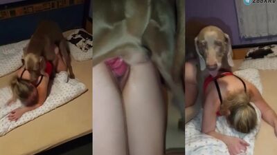 3d dog porn: zoo sex web news