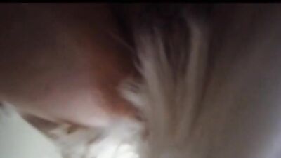 Zoo sex porn: dog riding sex