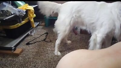 Zoo sex porn: dog riding sex