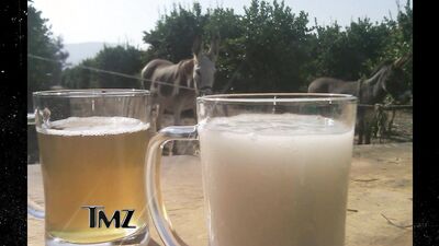 Dog sex girl: zoo sex hd 2026