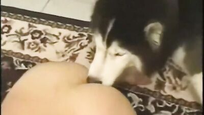 Teen dog sex: ai bestiality generation porn
