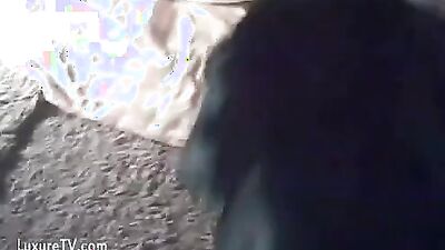Bestiality manga: sex animals me