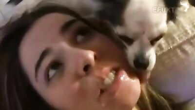 Zoo porn 2026: zoo bestiality porn xxx
