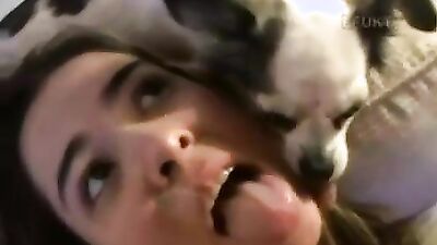 Zoo porn 2026: zoo bestiality porn xxx