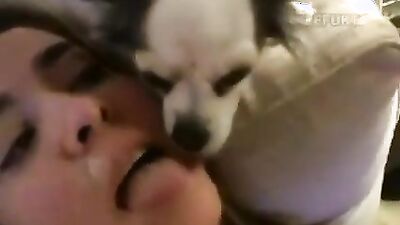Zoo porn 2026: zoo bestiality porn xxx