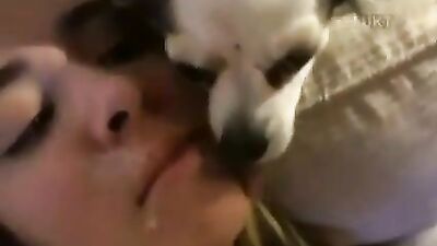 Zoo porn 2026: zoo bestiality porn xxx