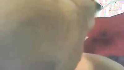 Zoo video: alice dog porn