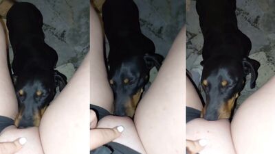 Best dog girl: 3d porn videos female anthro animal
