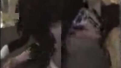 dog making her moan